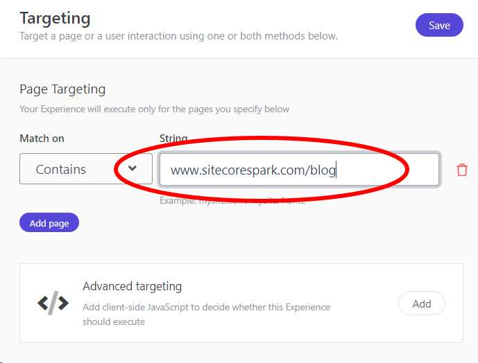 The Page Targeting UI with a website URL filled out and circled.